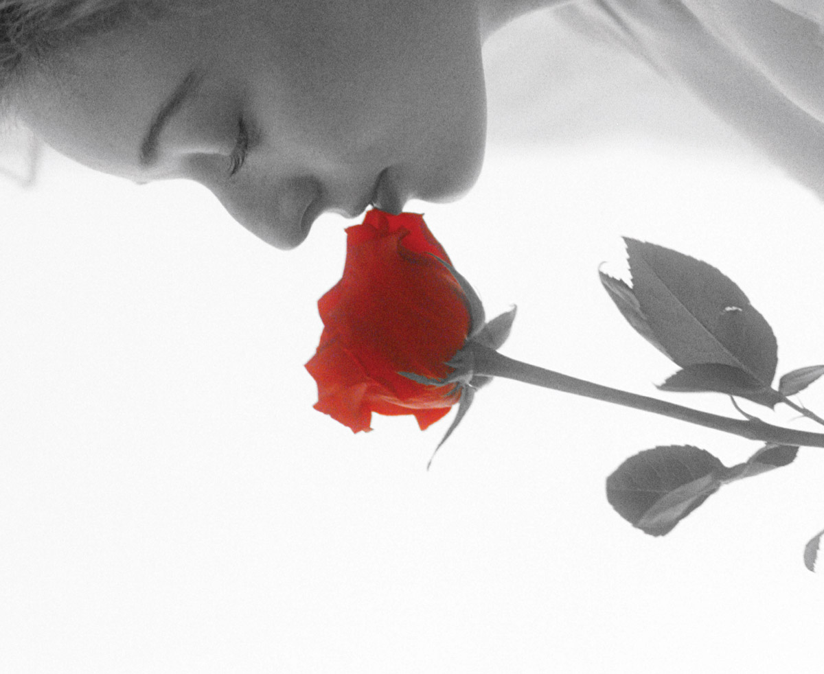 Romeo - Malerie Marder
